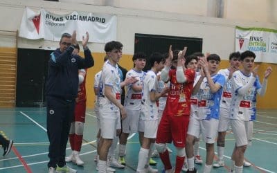 FÚTBOL SALA MASCULINO: DIVISIÓN DE HONOR JUVENIL